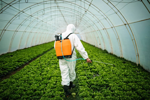 Best Residential Pest Control  in Sidy, NE