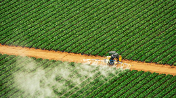 Best Best Pest Control Companies  in Sidy, NE