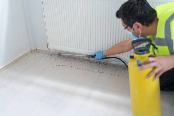 Best Cockroach Control Services  in Sidy, NE