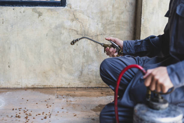 Best Mosquito Control Services  in Sidy, NE